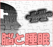 脳と睡眠