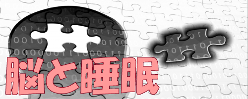 脳と睡眠