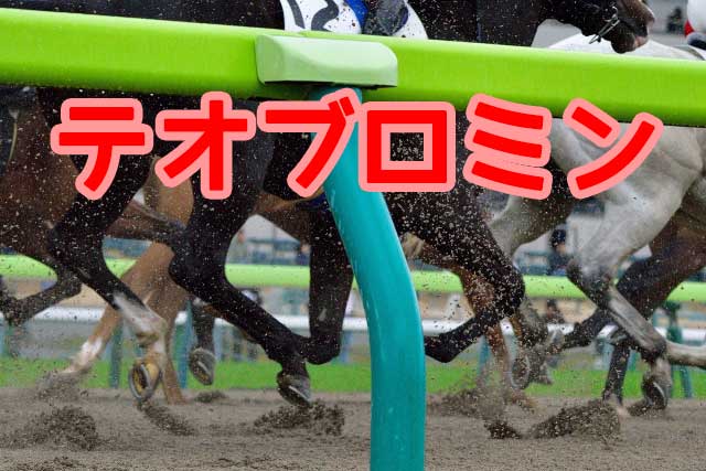 テオブロミン|JRA競馬施行規程の禁止薬物