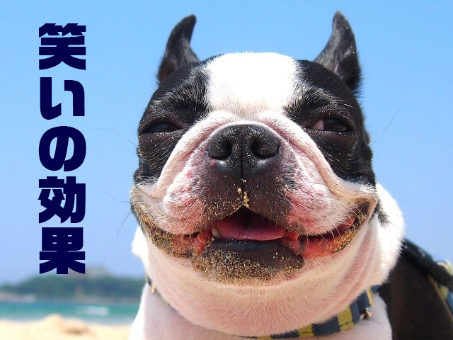 笑いの効果